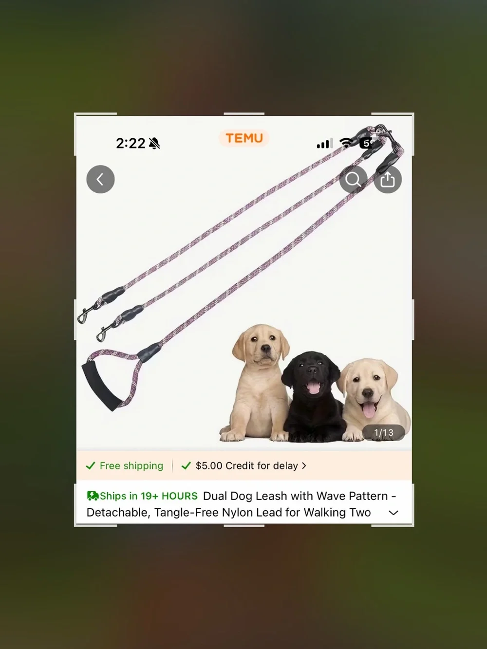 Hands-Free Reflective Dog Leash with Waist Belt - Green